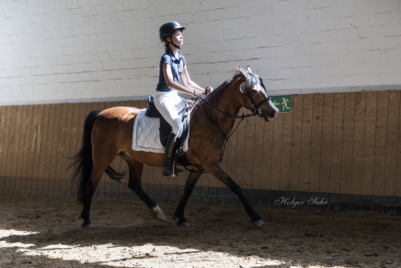 Bild 15 - Pony Akademie Turnier